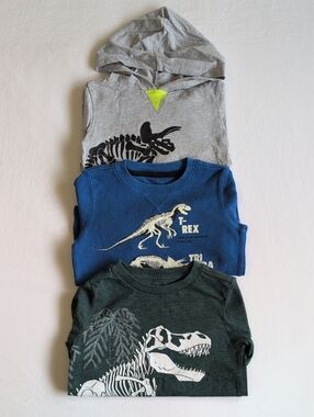 Lot of 3 Boys Dinosaur Graphic Long Sleeve Shirts Hoodie Mix Grey Blue 3T